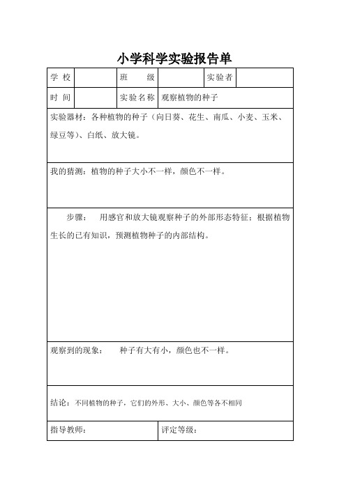 三年级下册实验报告单