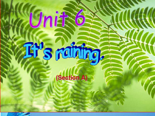 新目标英语七年级下册Unit6_It's_raining!课件