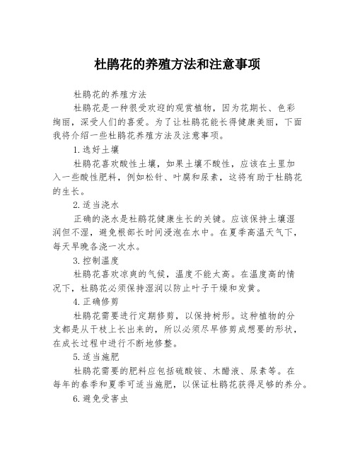 杜鹃花的养殖方法和注意事项