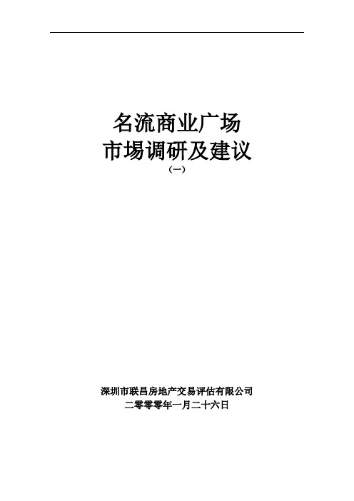 名流商业广场前期策划报告