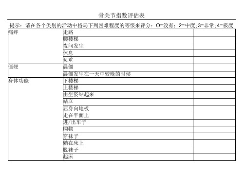 骨关节指数评估表