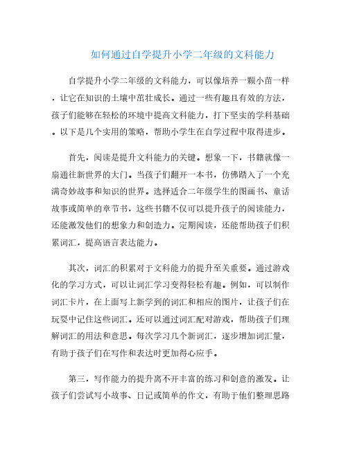 如何通过自学提升小学二年级的文科能力