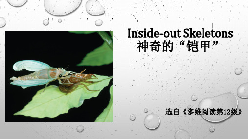 多维阅读第12级—Inside-out Skeletons 神奇的“铠甲”