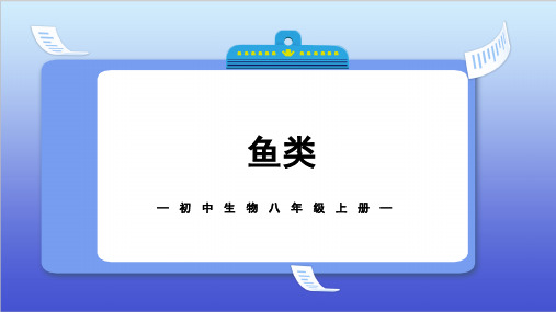 鱼类 人教版生物八年级上册