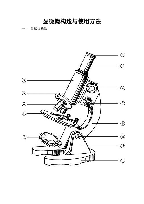 显微镜构造与使用方法