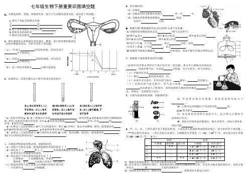 七年级生物重要识图题(人教版)