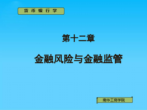 金融风险与金融监管(ppt 14页)