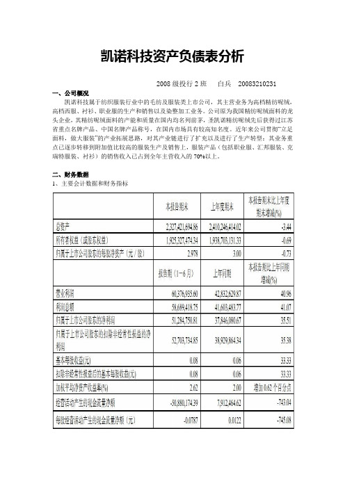 凯诺科技资产负债表分析