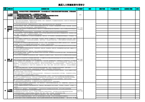 集团人力资源政策专项审计