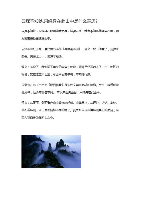 只缘身在此山中意思