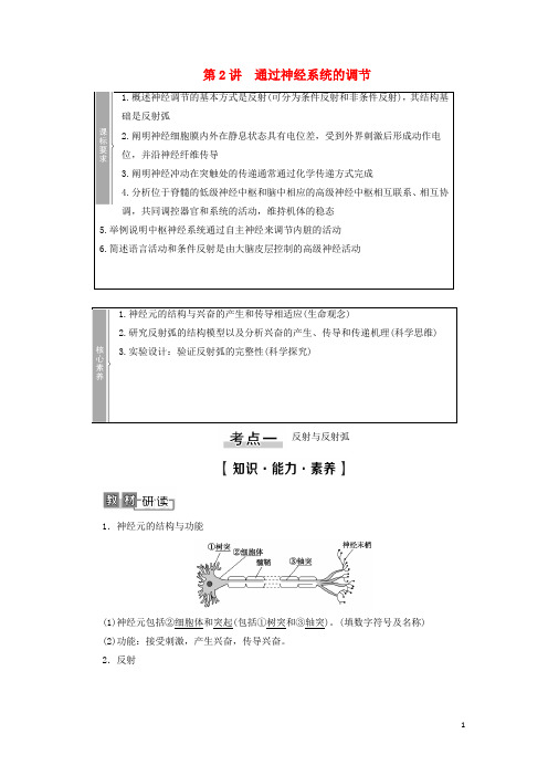 高考生物一轮复习第8单元生命活动的调节第2讲通过神经系统的调节学案