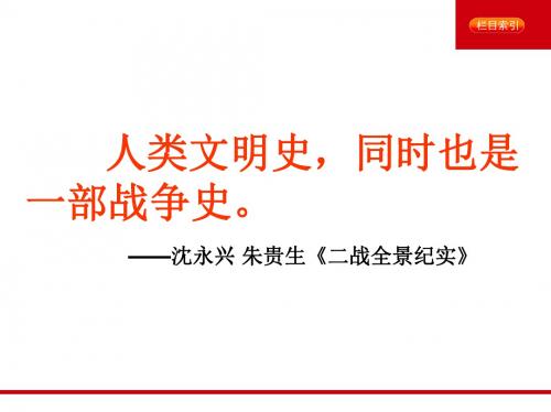 浙江省桐乡市高级中学高考历史一轮复习课件：第一次世界大战的爆发 (共25张PPT)