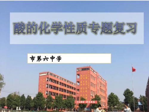 初中化学酸的化学性质专题复习