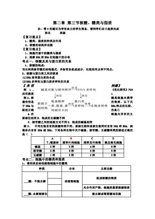 人教版选高三一轮生物复习学案：复习学案4--第二章 第三节  核酸、糖类与脂质