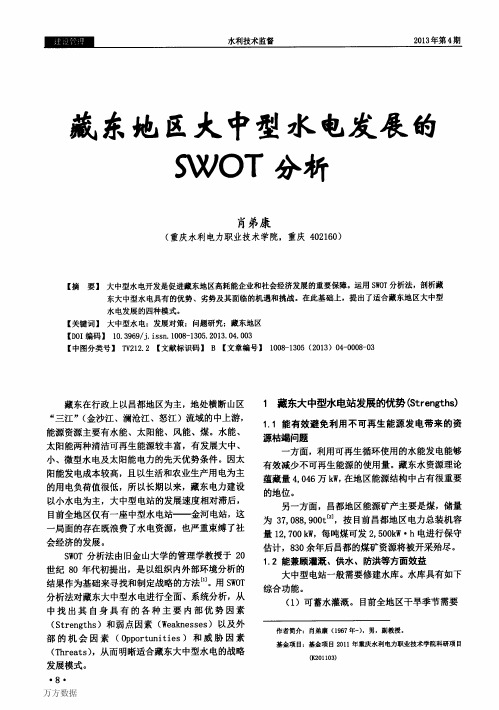 藏东地区大中型水电发展的SWOT分析