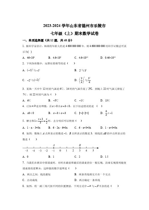 山东省德州市乐陵市2023-2024学年七年级上学期期末考试数学试题(含解析)