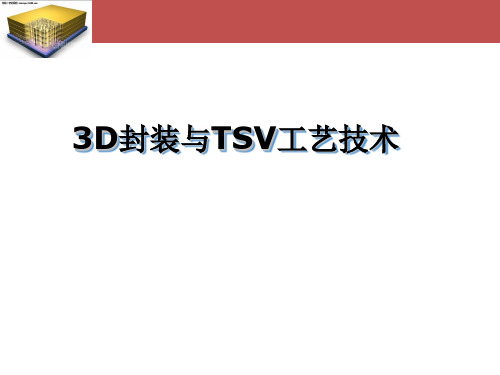 3D封装与硅通孔TSV工艺技术-PPT精品文档