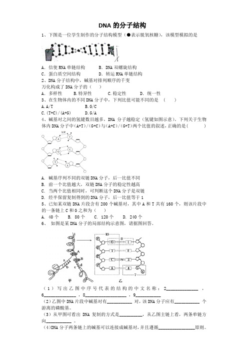 高三生物一轮复习课后训练：DNA的分子结构 Word含解析