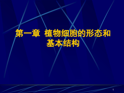 植物细胞基本结构PPT课件