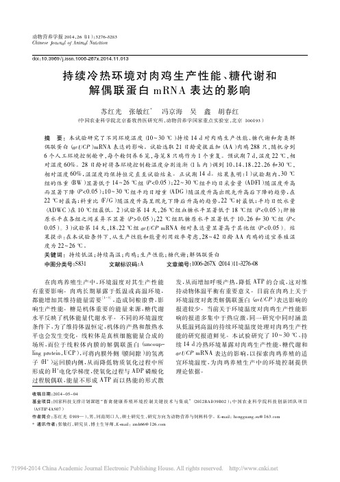 持续冷热环境对肉鸡生产性能_糖代谢和解偶联蛋白mRNA表达的影响