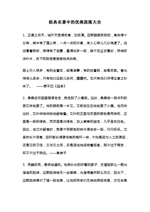 经典名著中的优美段落大全