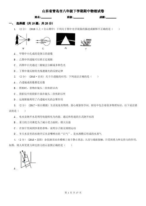 山东省青岛市八年级下学期期中物理试卷