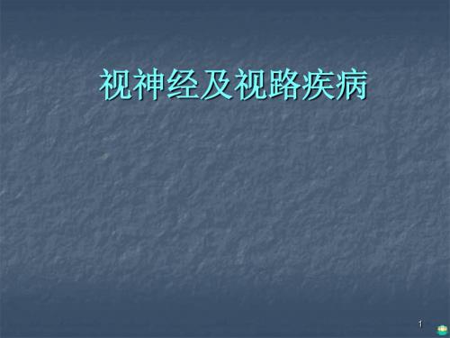 视神经及视路疾病PPT课件