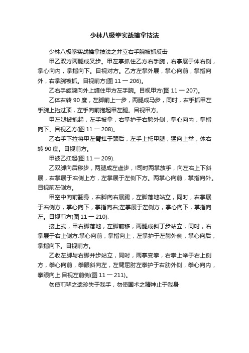 少林八极拳实战擒拿技法