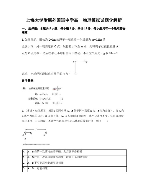 上海大学附属外国语中学高一物理模拟试题含解析