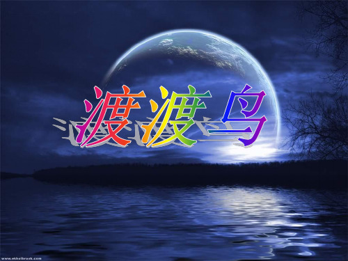 渡渡鸟