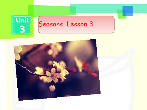 二年级下册英语课件-Unit 3 Seasons Lesson 3 人教(新起点) (共17张PPT)