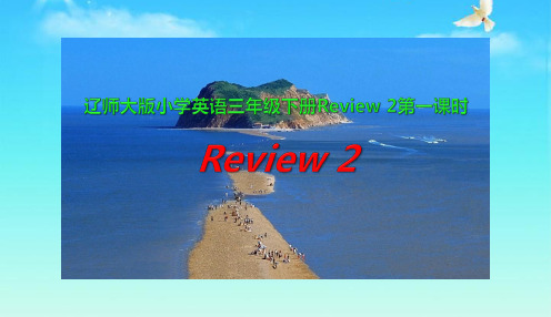 辽师大版(三起)英语三年级下册Review2课件