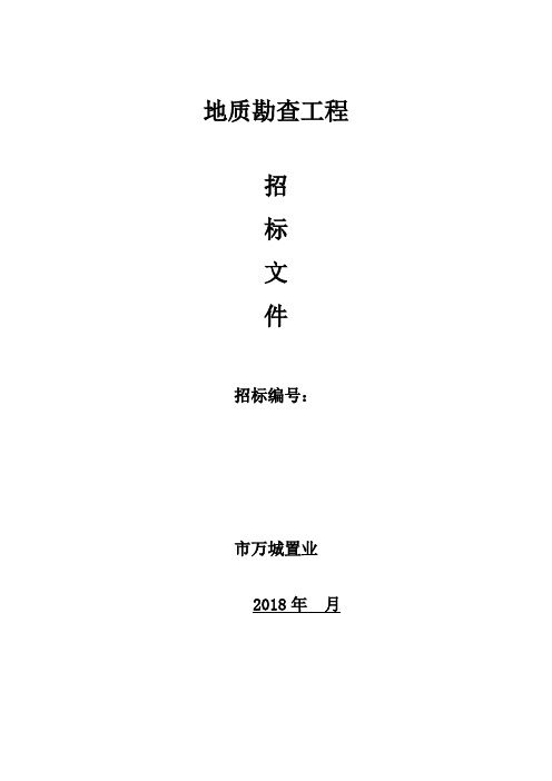 地质勘查招标文件全资料