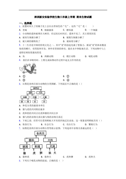 深圳新安实验学校生物八年级上学期 期末生物试题