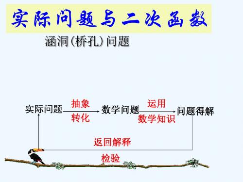 数学北师大版九年级下册二次函数的实际应用----涵洞问题