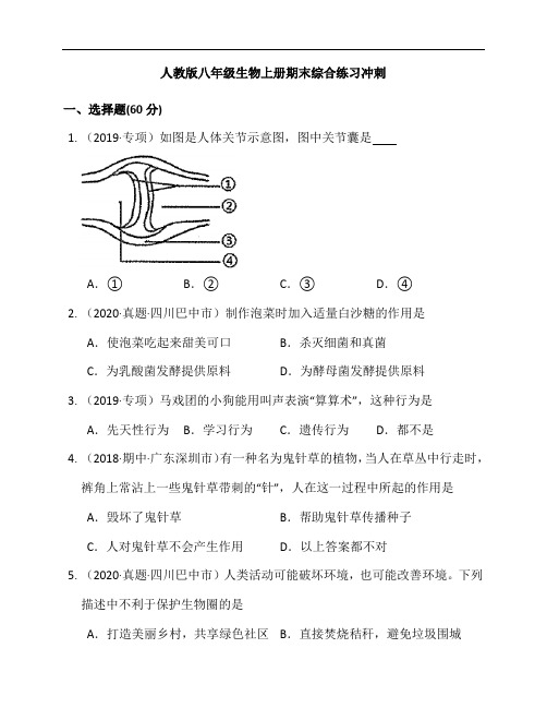 2020-2021学年陕西咸阳彩虹中学人教八年级生物上册期末综合练习冲刺(附解析)