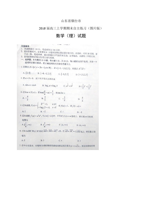 山东省烟台市高三上学期期末统考(扫描版)——数学理(