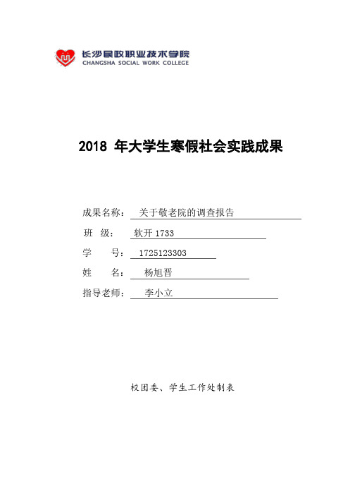 2018年大学生寒假社会实践成果