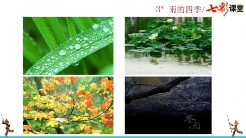 3 雨的四季