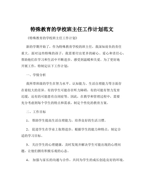 特殊教育的学校班主任工作计划范文