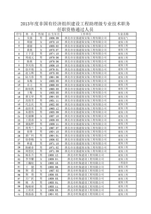 2013年度非国有经济组织建设工程助理级专业技术职务     任职资格通过人员