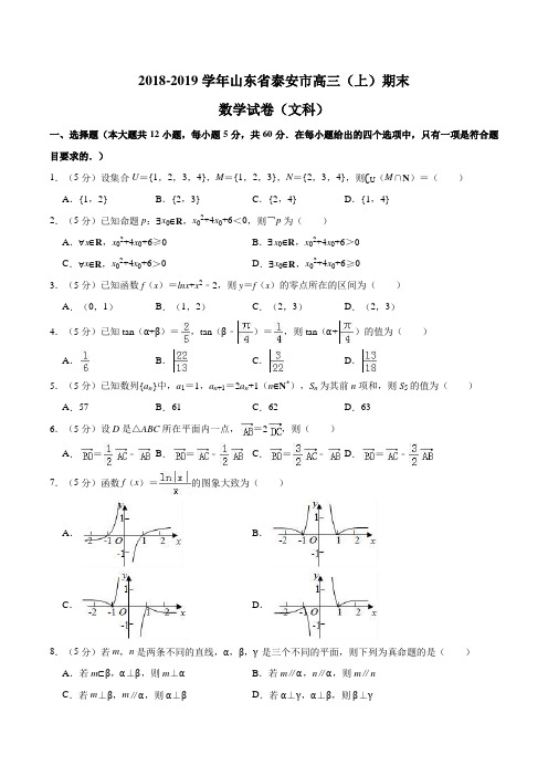 山东省泰安市2019届高三上学期期末考试数学(文)试题含答案