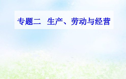 2019年高中政治学业水平考试专题复习课件二考点3生产的微观主体 企业