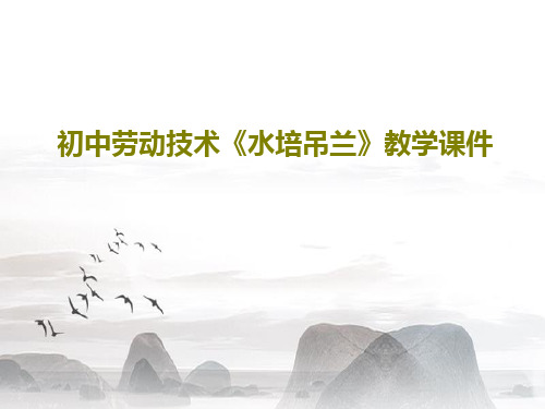 初中劳动技术《水培吊兰》教学课件共33页