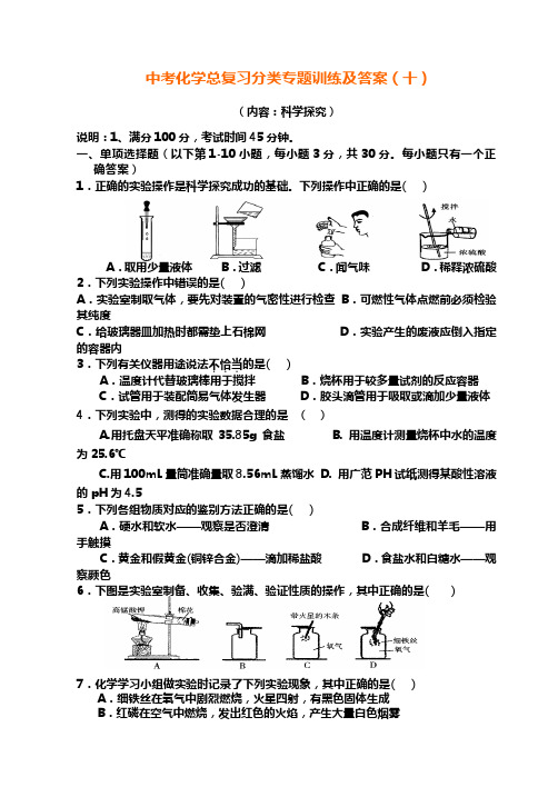 中考化学总复习分类专题训练及答案(十)