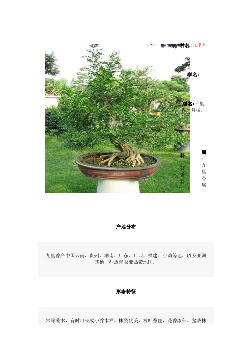 九里香,红枫,发财树,巴西铁,变叶木,玉兰