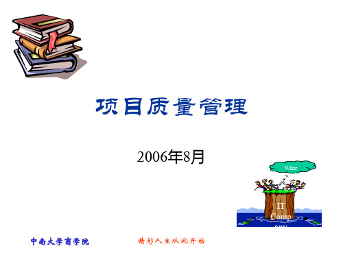 项目质量管理概述(PPT45页).ppt