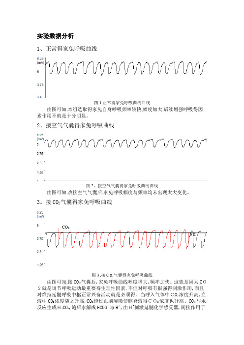 生理学实验：家兔呼吸运动的调节