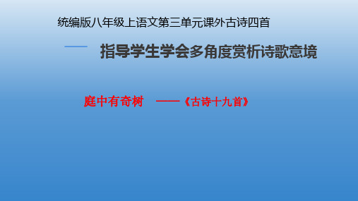 第三单元课外古诗词诵读《庭中有奇树》课件+2024—2025学年统编版语文八年级上册