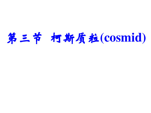 4第四章 基因克隆的载体-3柯斯质粒